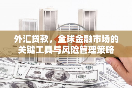 花地玛堂区外汇贷款，全球金融市场的关键工具与风险管理策略