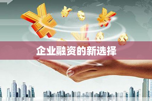 花地玛堂区企业融资的新选择