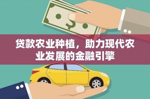 花地玛堂区贷款农业种植，助力现代农业发展的金融引擎