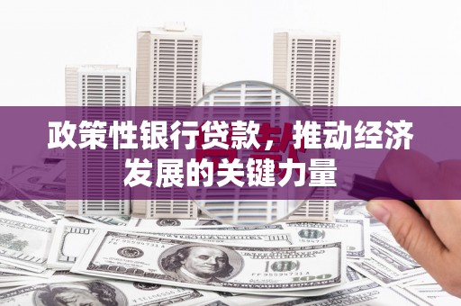 花地玛堂区政策性银行贷款，推动经济发展的关键力量