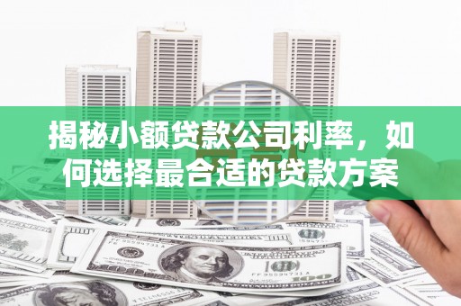 花地玛堂区揭秘小额贷款公司利率，如何选择最合适的贷款方案