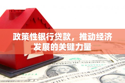花地玛堂区政策性银行贷款，推动经济发展的关键力量