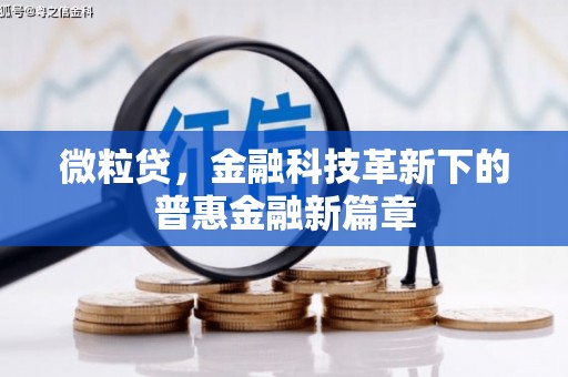 花地玛堂区微粒贷，金融科技革新下的普惠金融新篇章
