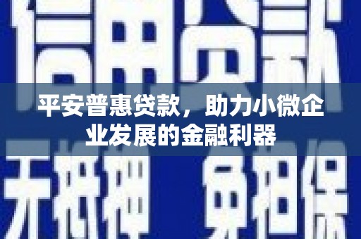 花地玛堂区平安普惠贷款，助力小微企业发展的金融利器