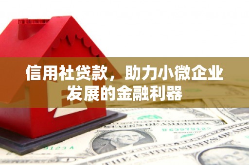 花地玛堂区信用社贷款，助力小微企业发展的金融利器