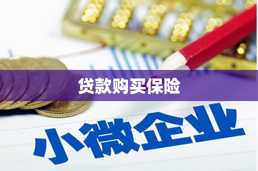 花地玛堂区贷款购买保险