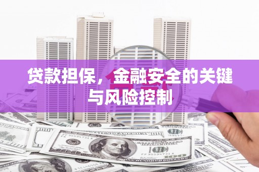 花地玛堂区贷款担保，金融安全的关键与风险控制