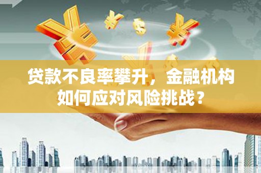 花地玛堂区贷款不良率攀升，金融机构如何应对风险挑战？