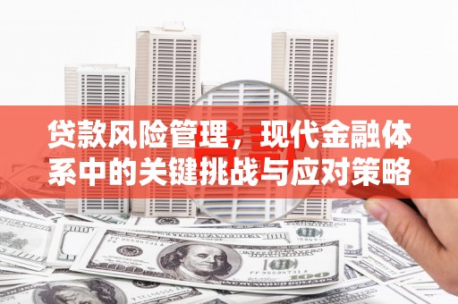 花地玛堂区贷款风险管理，现代金融体系中的关键挑战与应对策略