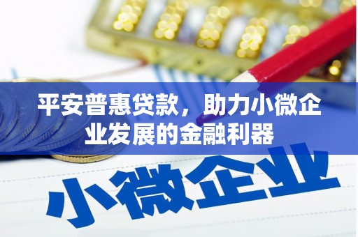 花地玛堂区平安普惠贷款，助力小微企业发展的金融利器