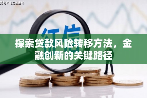 花地玛堂区探索贷款风险转移方法，金融创新的关键路径