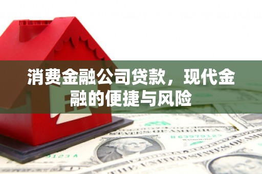 花地玛堂区消费金融公司贷款，现代金融的便捷与风险