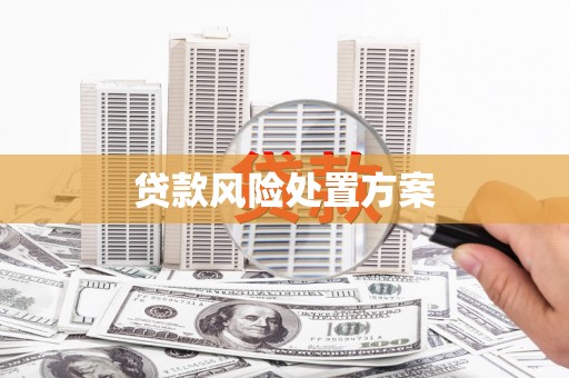 花地玛堂区贷款风险处置方案