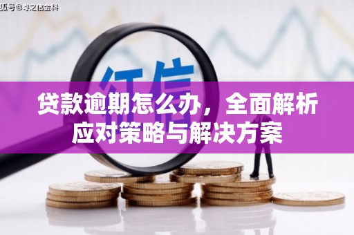 花地玛堂区贷款逾期怎么办，全面解析应对策略与解决方案