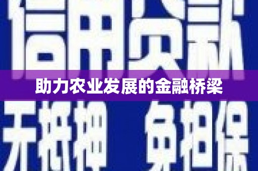 花地玛堂区助力农业发展的金融桥梁