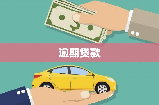 花地玛堂区逾期贷款