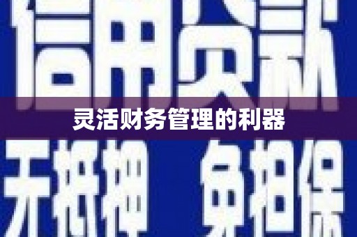 花地玛堂区灵活财务管理的利器