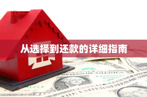 花地玛堂区从选择到还款的详细指南