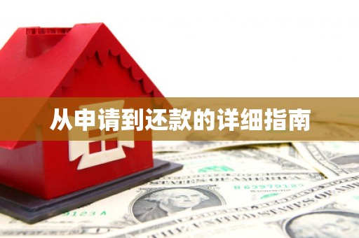 花地玛堂区从申请到还款的详细指南