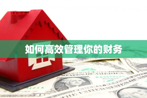 花地玛堂区如何高效管理你的财务