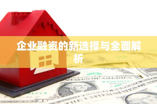 花地玛堂区企业融资的新选择与全面解析