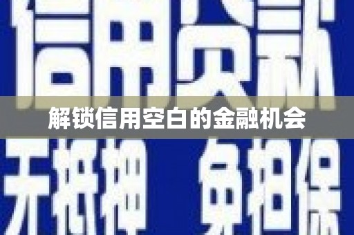 花地玛堂区解锁信用空白的金融机会