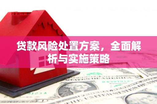 花地玛堂区贷款风险处置方案，全面解析与实施策略