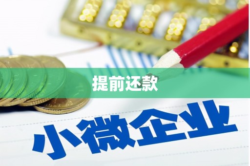花地玛堂区提前还款