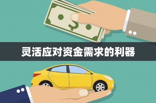 花地玛堂区灵活应对资金需求的利器