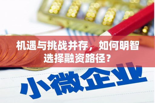 花地玛堂区机遇与挑战并存，如何明智选择融资路径？