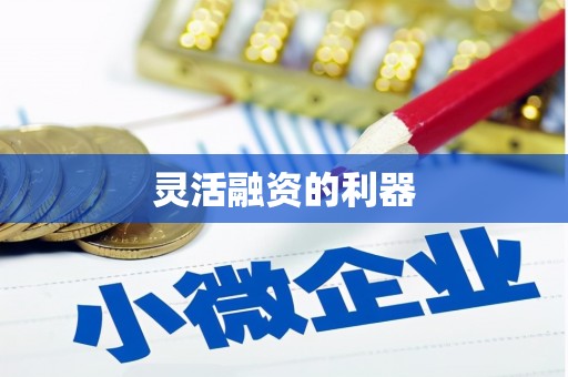 花地玛堂区灵活融资的利器
