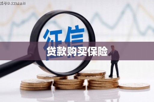 花地玛堂区贷款购买保险