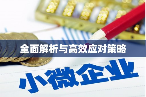 花地玛堂区全面解析与高效应对策略