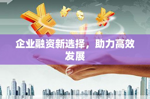 花地玛堂区企业融资新选择，助力高效发展
