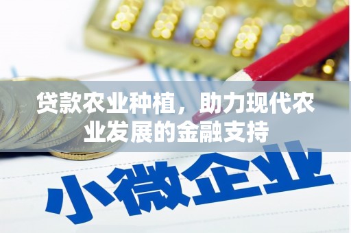 花地玛堂区贷款农业种植，助力现代农业发展的金融支持