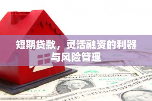 花地玛堂区短期贷款，灵活融资的利器与风险管理