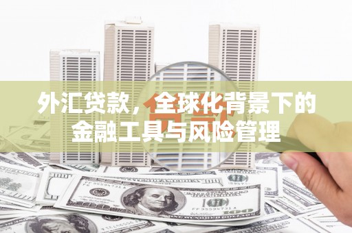 花地玛堂区外汇贷款，全球化背景下的金融工具与风险管理