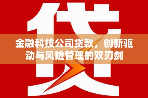 花地玛堂区金融科技公司贷款，创新驱动与风险管理的双刃剑